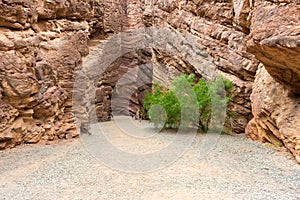 The Amphitheater in Quebrada de las Conchas, Cafayate (Argentina)