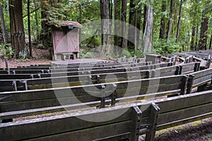 Amphitheater in a Redwood Trees forest photo