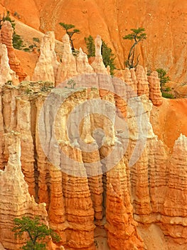 Amphitheater, view from Sunset point, Bryce Canyon National Park