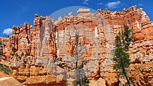 Amphitheatre with hoodos, Bryce Canyon