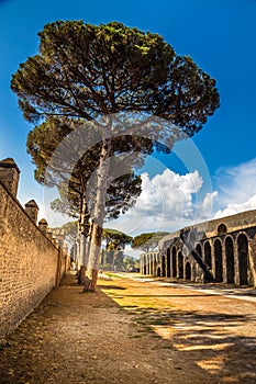 Amphitheatre of Pompeii - Pompei, Campania, Italy