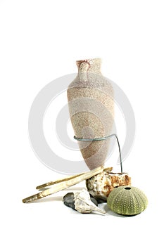 Amphora with shells photo