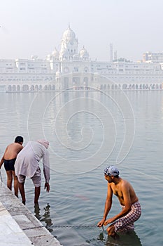 Amritsar, India - November 21, 2011: Sikh pilgrims bathe in the Amrit Sarovar Lake complex of the Golden Temple. The Golden Temple