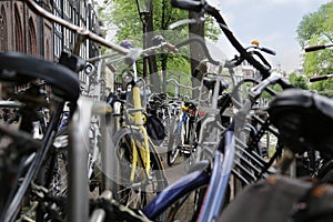 Amsterdam. Bicycle