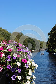 Amsterdam canal and boat in summer