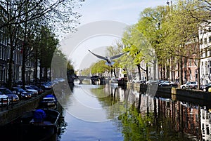Amsterdam canals