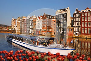 Amsterdam city with boat on canal against red tulips in Holland