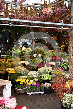 Amsterdam flower market