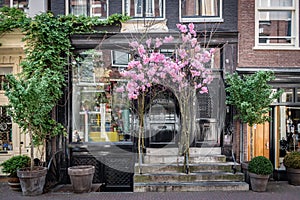 Amsterdam in Holland with its magnificent brunch breakfast canals, its levi barge bridge and traditional boat, flowery city bike