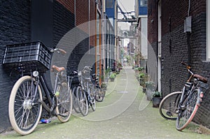 Bicicletas, molinos de viento países bajos 