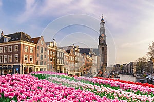 Amsterdam Netherlands, city skyline at canal