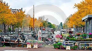 Amsterdam, Netherlands - 15.10.2019: Flowers for sale at a flower market, Amsterdam, The Netherlands