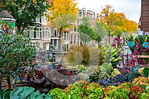 Amsterdam, Netherlands - 15.10.2019: Flowers for sale at a flower market, Amsterdam, The Netherlands