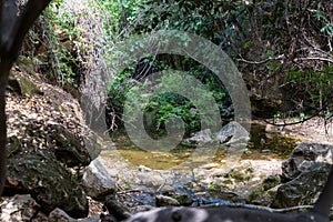 Amud Stream Nature Reserve in Northern Israel