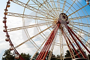 Amusement at the amusement park