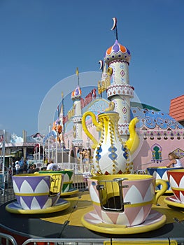 Amusement Park Rides