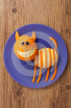 Amusing cat made of orange