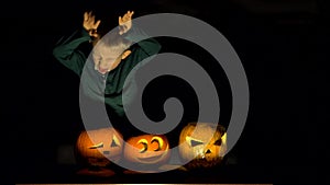 Amusing child playing as vampire close illuminated pumpkins, funniest Halloween video, dark background