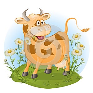 The amusing cow chews a grass.