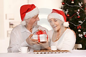 Amusing old couple at Christmas