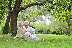 Amusing old couple on picnic