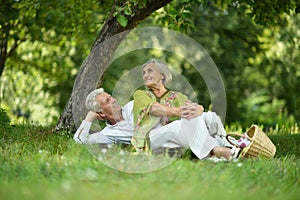 Amusing old couple on picnic