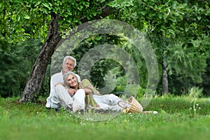 Amusing old couple on picnic