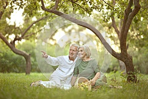 Amusing old couple on picnic