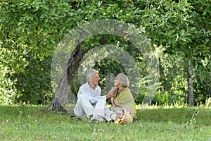 Amusing old couple on picnic