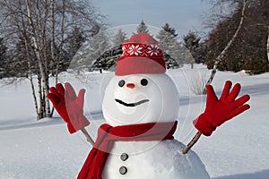 Snowman with red scarf and hat photo