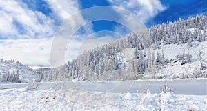 Amut Lake - Alpine landslide lake located in the Solnechny District of the Khabarovsk Kray, Russia . Beautiful taiga photo