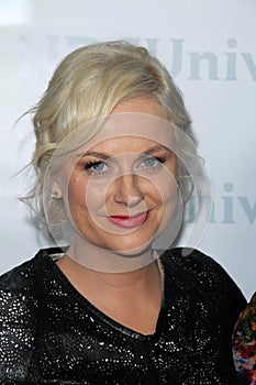 Amy Poehler