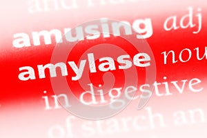 amylase