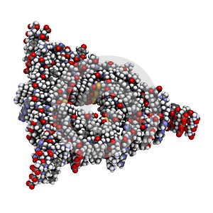 Amyloid beta (Abeta, AB40) fibril structure. Fibrillar aggregates of Abeta are major component of brain plaques and play an photo