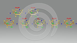 Amylopectin structure