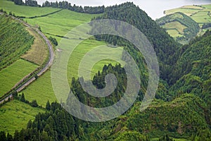 Amzing green nature on the azores islands photo