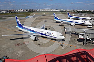 ANA All Nippon Airways airplanes at Fukuoka airport in Japan