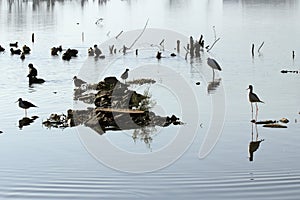 Ana Sagar lake in Ajmer