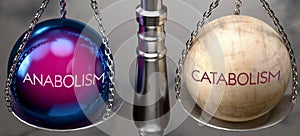 Anabolism or Catabolism - weighing two choices, available options photo