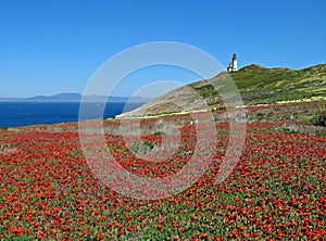 Anacapa lighthouse panorama