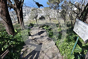 Anacapri - Sentiero per Anacapri e Centrella dalla cima di Monte Solaro