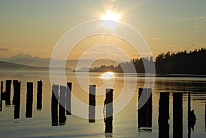 Anacortes Port and Pilings at Sunrise photo