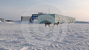 Anadyr city on far north of Russia.