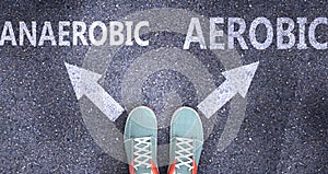 Anaerobic and aerobic as different choices in life - pictured as words Anaerobic, aerobic on a road to symbolize making decision