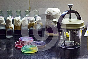 Anaerobic gas jar along with culture plates containing culture media placed on desk of a microbiology laboratory