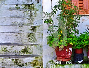 Anafiotika, Plaka, under the Acropolis in Athens, Greece. White steps and pots with plants
