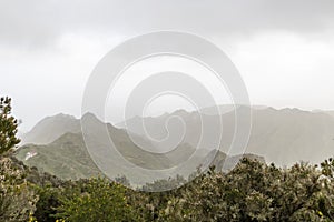 Anaga mountains, steep slopes covered with green and lush forest. A Rural Parkand Biosphere Reserve in Tenerife, Canary islands,