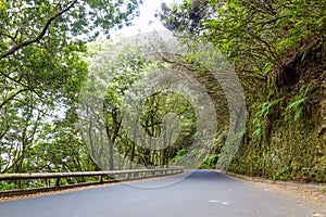 Anaga national park photo