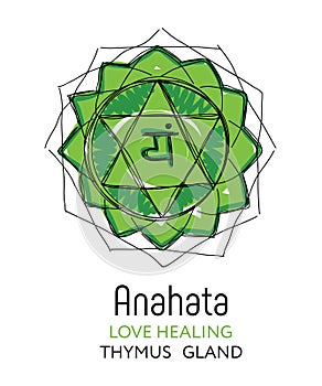 Anahata. Fourth primary chakra vector hand drawing illustration - for yoga studio. Thymus gland in human body. Symbol  of energy