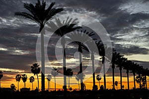 Anaheim Sunset photo